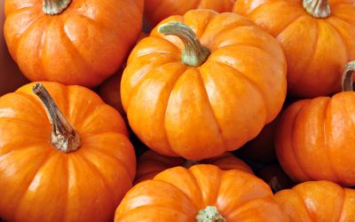 Thriving the Holiday Season: Enjoy Seasonal Produce