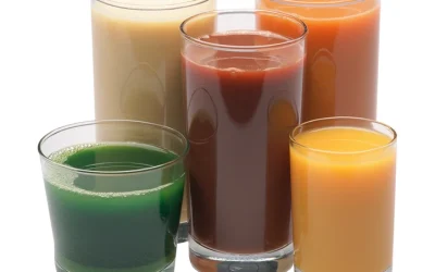 Registered Dietitian Nutritionist: Nutrition Expert